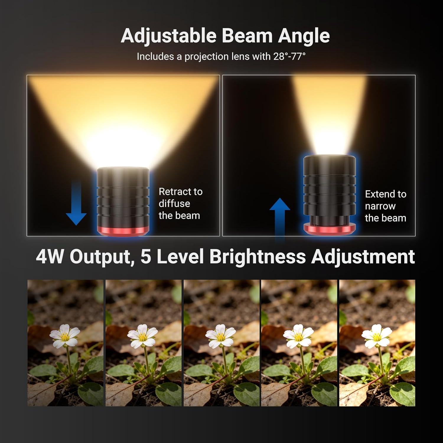 NEEWER BASICS Paquete de 2 Luc - Photography Lighting Basics reseña y precio